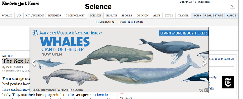 Illustration for article titled New York's Hottest Club Is Baroque Bird Genitalia